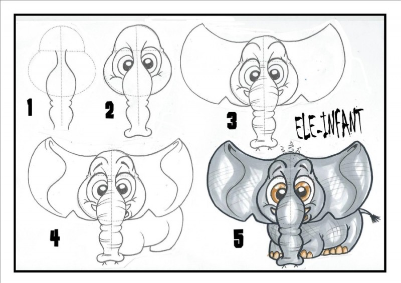 How to draw a baby Elephant - classes by Jarla Duffy, Donegal Cartoons, Ireland